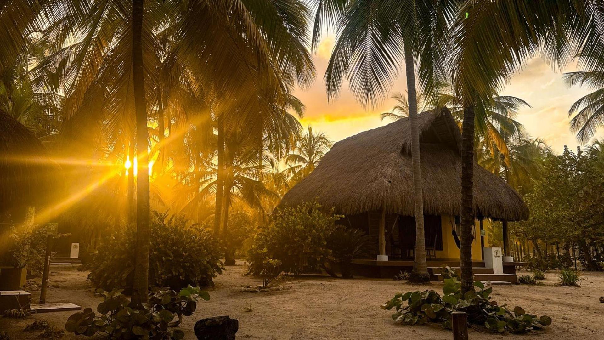Aite Hotel Palomino Buitenkant foto
